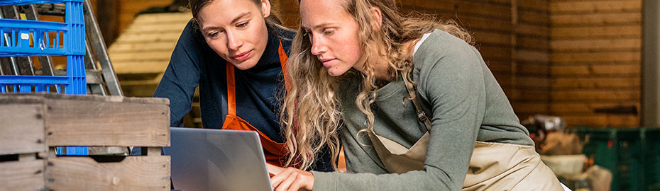 Online Banking Firmenkunden Volksbank Niedergrafschaft Eg